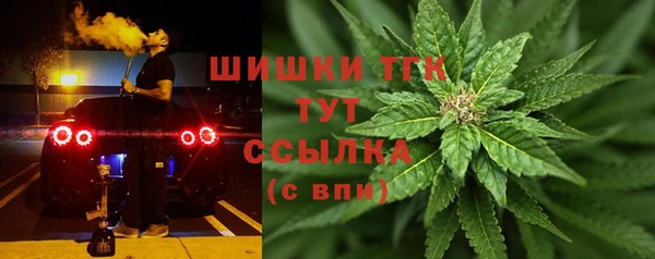 spice Алексин