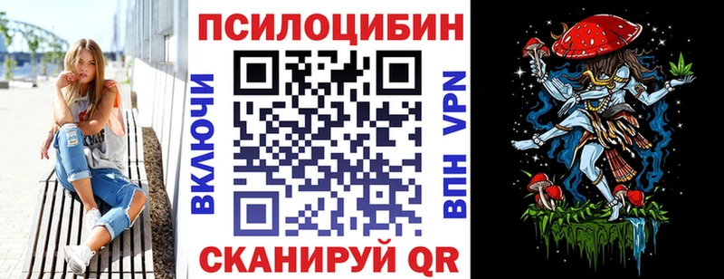где купить наркотик  Аргун  Псилоцибиновые грибы мицелий 